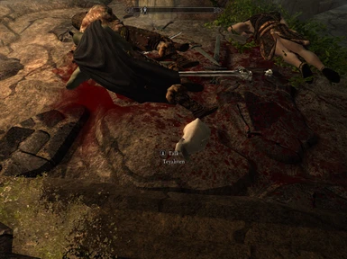Teyahven with Silver Handes killed by Farkas