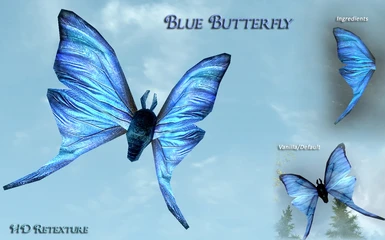 Blue Butterfly HD-Retexture
