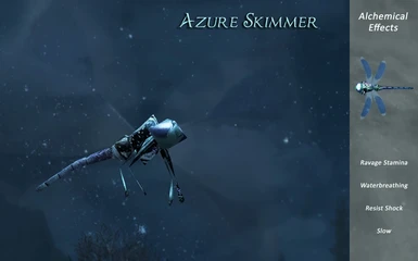 Azure Skimmer