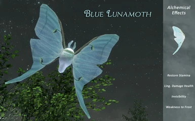 Blue LunaMoth
