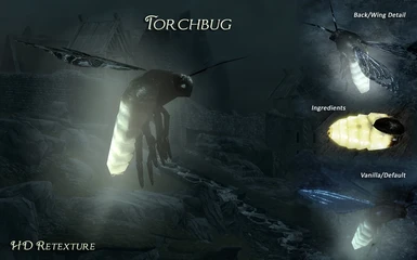 Torchbug HD-Retexture