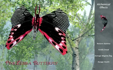 PinkZebra Butterfly
