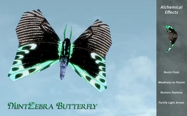 MintZebra Butterfly