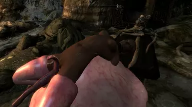 estrus for skyrim estrus for skyrim