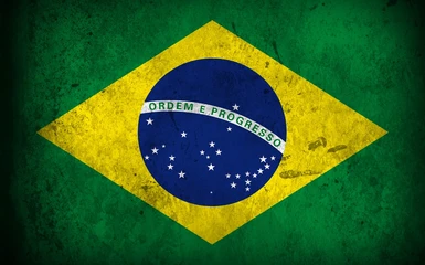 Portuguese-Brazil