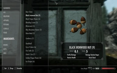 Black Ironwood Nut
