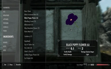 Black Poppy
