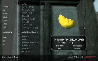 Cinnabar Polypore Yellow
