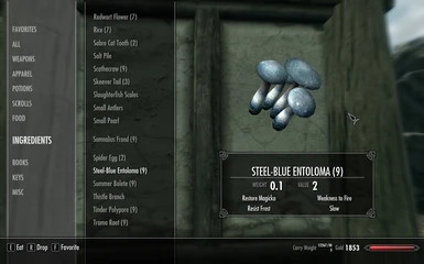 Steel-Blue Entoloma