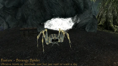 Strange spider