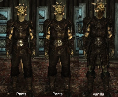 Dude wheres my pants - Leather Armor