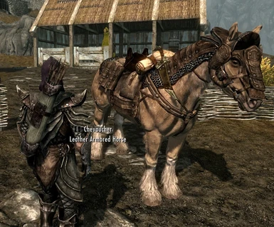 Leather armored horse