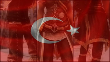 West Wind Combat Series - Misfit Mage UNP Turkish Translation