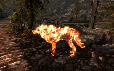 Daruk The Fire Wolf