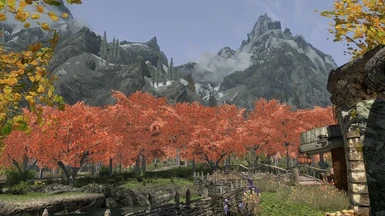 View from Lakehome with Tamriel Reloaded Trees