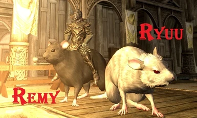2 Rats