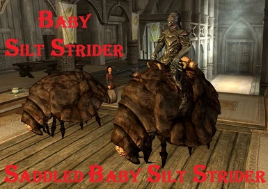 2 Babies Silt Striders