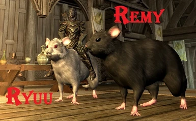 2 Rats