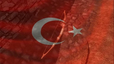 Assassins Creed III Bow and Arrows Turkish Translation