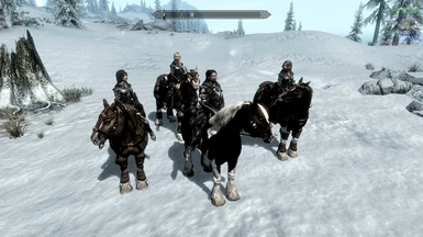 Mounted using the Convenient Horses Mod