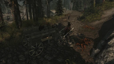 taking a carriage to Riften