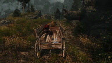 taking a carriage to Riften