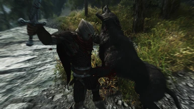 killcam of a wolf