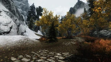 the Rift - snow and autumn trees