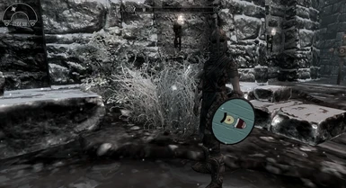 Windhelm Guard