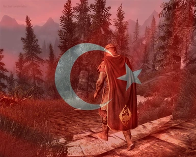 Cloaks of Skyrim Turkish Translation