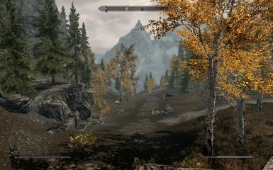 skyrim mod for low end pc votext