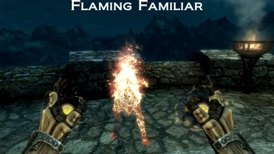 Flaming Familiar