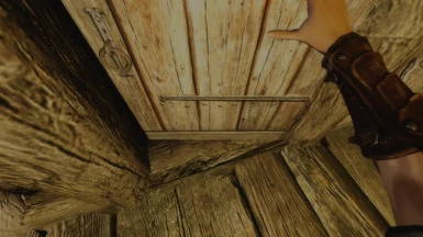 Opening a door with Immersive First Person