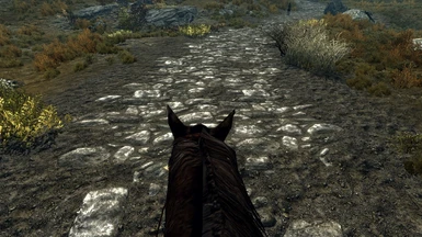 Fake First Person Horse 1