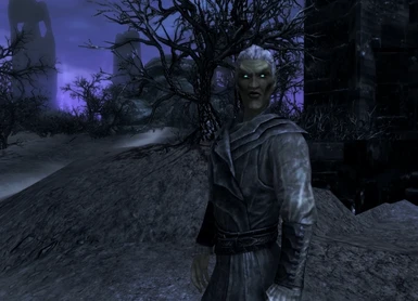 Vampire Eyes of Coldharbour at Skyrim Nexus - Mods and Community