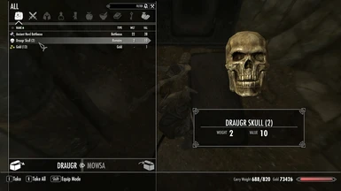 2nd skull