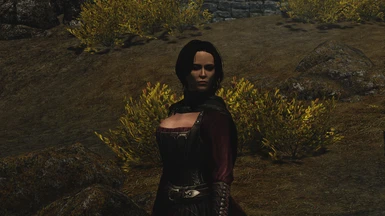 RealVision ENB with Real Girls texture
