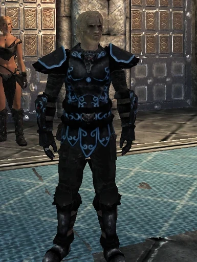 Companions Wolf Armor with Pants v2