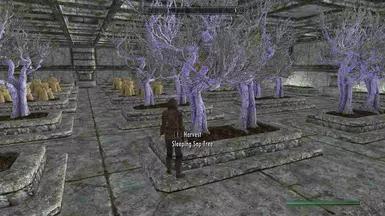 Shh_ I found plants