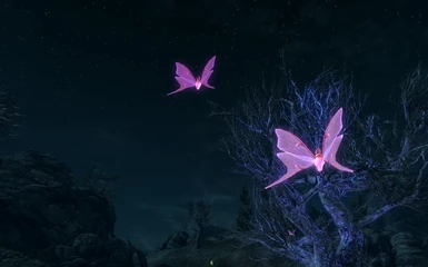 Violet Moths  Thank you
