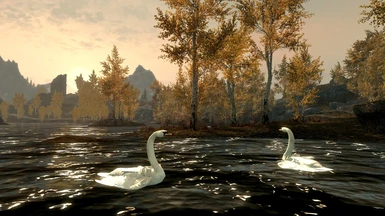 Ducks and Swans for Skyrim 1_1
