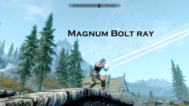 Magnum Bolt