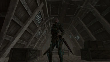 The Armor set on the Player