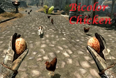 Bicolor Chicken