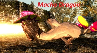 Macho Man Dragon