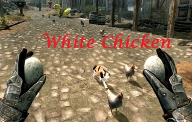 White Chicken