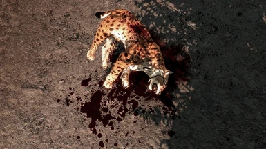 Dead Lynx