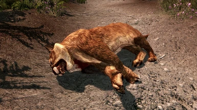 Dead Mountain Lion