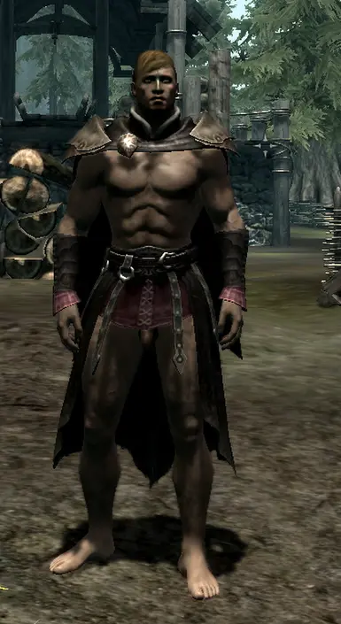 Revealing Dawnguard Male Armors And Clothes Retextured At Skyrim 