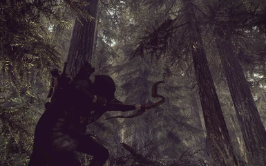 Hunting in the Forest